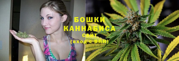 шишки Армянск