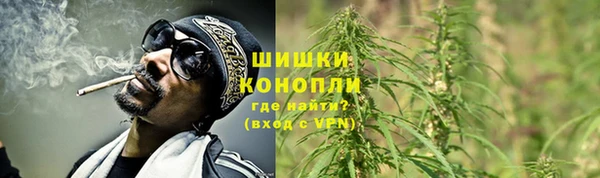 сатива Арсеньев