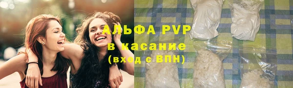 шишки Армянск