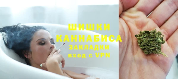 сатива Арсеньев