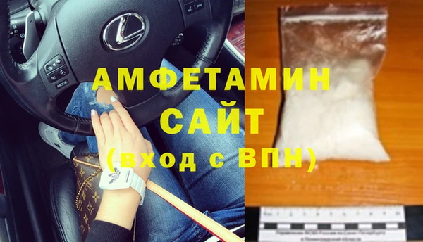 шишки Армянск