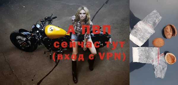 сатива Арсеньев