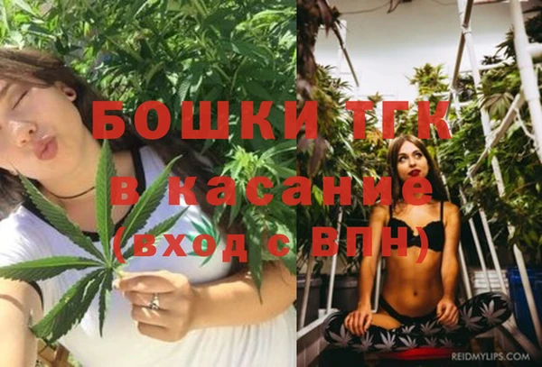 сатива Арсеньев