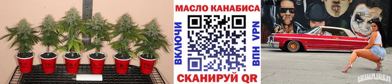 купить наркоту  Певек  Дистиллят ТГК Wax 